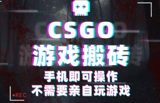 CSGO游戏挂G捡漏,单日扫货5张+,年底小高峰上车可吃肉,手机即可操作,兼职副业创业网创【揭秘】-汇课新知资源网