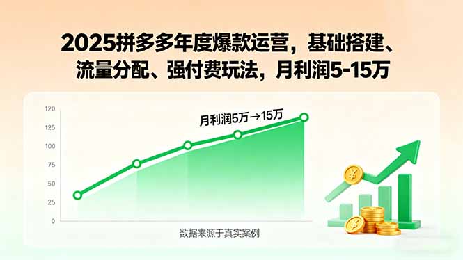 2025拼多多年度爆款运营，基础搭建、流量分配、强付费玩法，月利润5-15万-汇课新知资源网