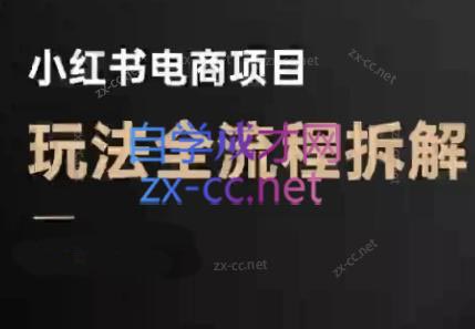 菲菲老师·小红书电商玩法(更新9月)-汇课新知资源网