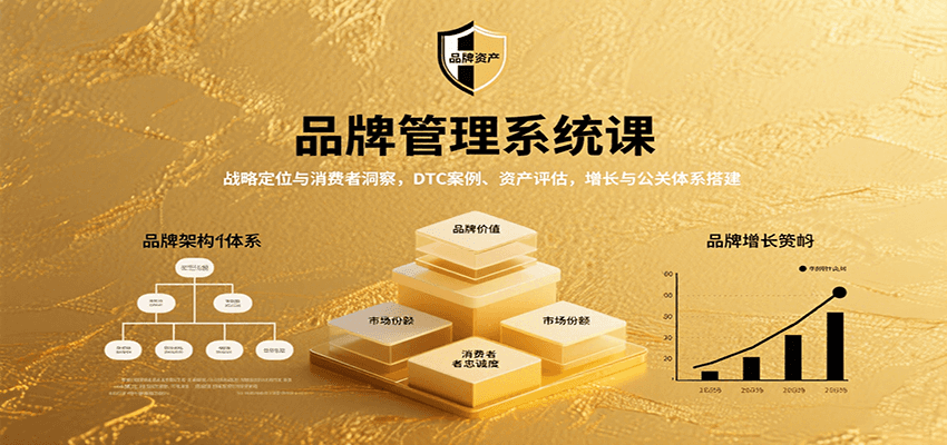 品牌管理系统课：战略定位与消费者洞察，DTC案例、资产评估，增长与公关体系搭建-汇课新知资源网