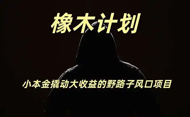 橡木计划，小投入撬动高回报的风口野路子项目，一天投入2小时左右-汇课新知资源网