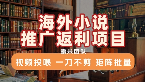 海外小说推广返利项目,视频投喂, 一刀不剪,矩阵批量-汇课新知资源网