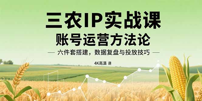 三农IP实战课：账号运营方法论，六件套搭建，数据复盘与投放技巧-汇课新知资源网