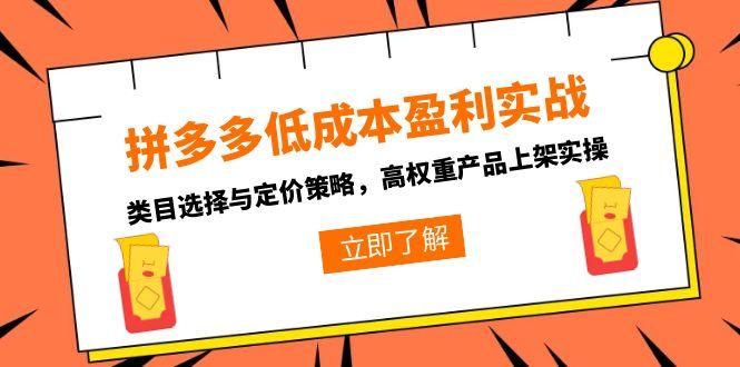拼多多低成本盈利实战，类目选择与定价策略，高权重产品上架实操-汇课新知资源网