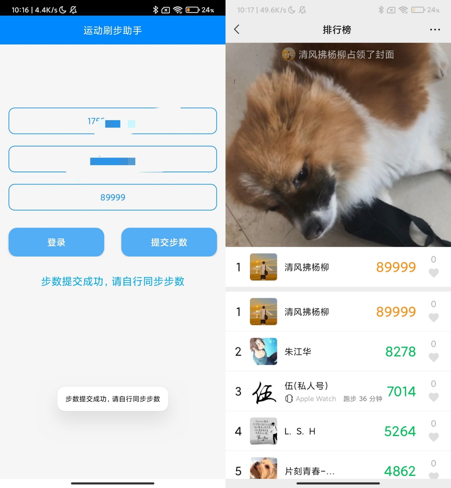 布偶步数助手 支持QQ微信支付宝-汇课新知资源网
