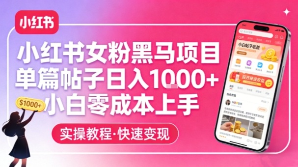 小红书女粉黑马项目，单篇帖子日入1k+，小白零成本上手-汇课新知资源网