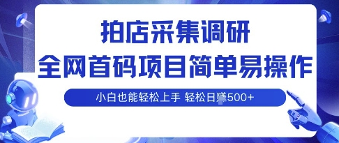 拍店采集调研,全网首码项目,简单易操作, 小白也能轻松上手,多账号操作,轻松日入5张【揭秘】-汇课新知资源网
