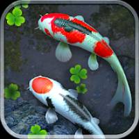 Water Garden Live Wallpaper 锦鲤3D动态壁纸2.04专业版-汇课新知资源网