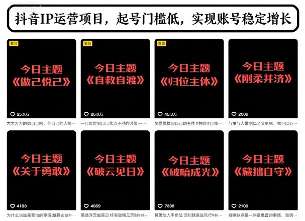 抖音IP运营项目，抖音今日主题玩法，起号门槛低，实现账号稳定增长-汇课新知资源网