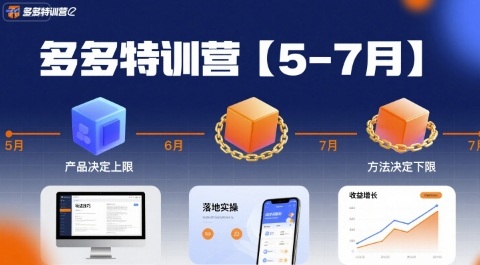 多多特训营,产品决定上限,方法决定下限,各种玩法技巧落地实操(更新)-汇课新知资源网