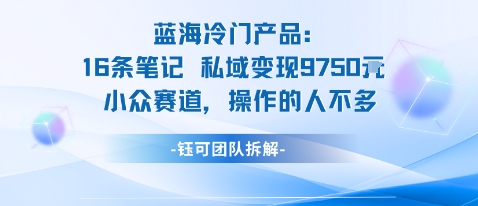 蓝海项目:16条笔记私域变现9750米小众赛道操作的人不多-汇课新知资源网