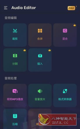 Audio Editor Pro Pro音频编辑器v2.01.20.1024专业版-汇课新知资源网