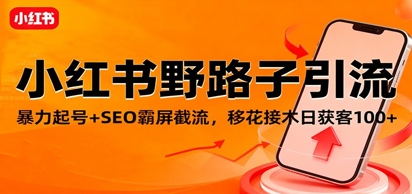 小红书野路子引流,暴力起号+SEO霸屏截流,移花接木日获客100+-汇课新知资源网