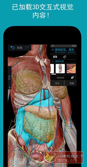 Human Anatomy Atlas 2026 人体解剖学图谱v2026.00.019高级版-汇课新知资源网