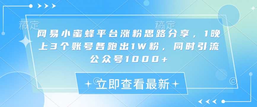 网易小蜜蜂平台涨粉思路分享,1晚上3个账号各跑出1W粉,同时引流公众号1000+-汇课新知资源网