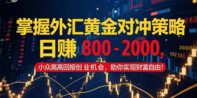 掌握外汇黄金对冲策略，日赚 800 – 2000，小众高回报创业机会，助你实…-汇课新知资源网