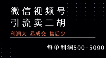 视频号卖二胡教程，利润大 易成交 售后少，一单利润5张+-汇课新知资源网