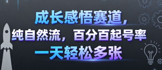 成长感悟赛道,纯自然流,百分百起号率 一天轻松多张-汇课新知资源网