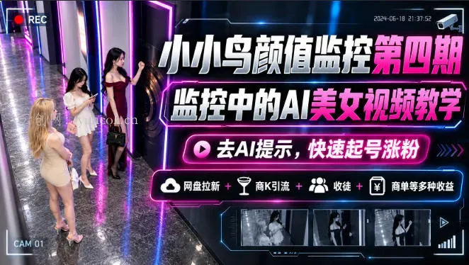 小小鸟颜值监控第四期，监控中的AI美女视频教学，去AI提示，快速起号涨粉，网盘拉新+商K引流+收徒+商单等多种收益