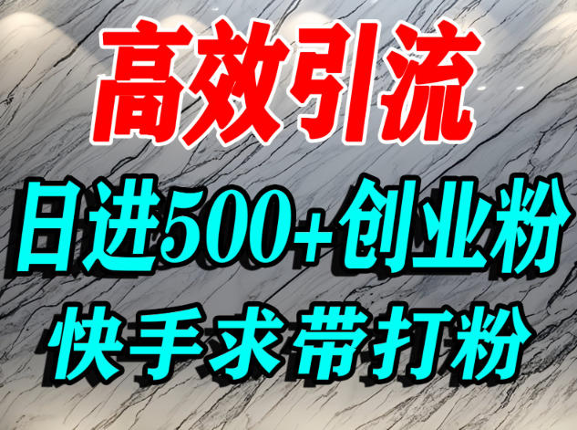 怎么打创业粉？快手求带视角精准引流创业粉，宝妈、学生群体日进500+精准流量-汇课新知资源网