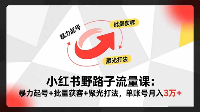 小红书野路子流量课:暴力起号+批量获客+聚光打法,单账号月入3万+-汇课新知资源网