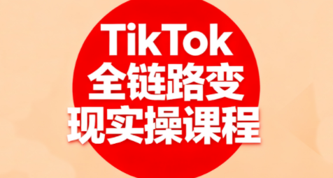 小杨老师·TikTok全链路变现实操课程-汇课新知资源网