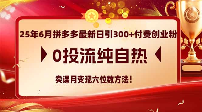 25年6月拼多多最新日引300+付费创业粉，0投流纯自热 卖课月变现六位数方法-汇课新知资源网