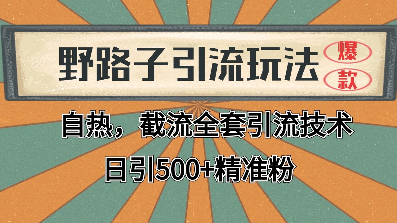 2024首发野路子引流玩法截流自热全平台打法，全自动引流【日引2000+精准客户】-汇课新知资源网