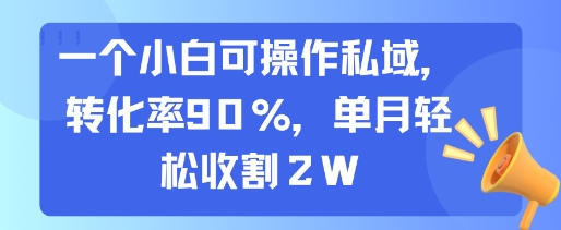 一个小白可操作私域，转化率90%，单月轻松收割2W-汇课新知资源网