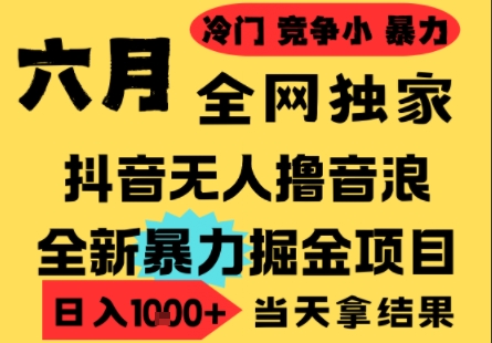 25年6月高爆抖音无人直播最新撸音浪掘金项目，小白可做，无脑日入1k+，门槛低可批量矩阵【揭秘】-汇课新知资源网