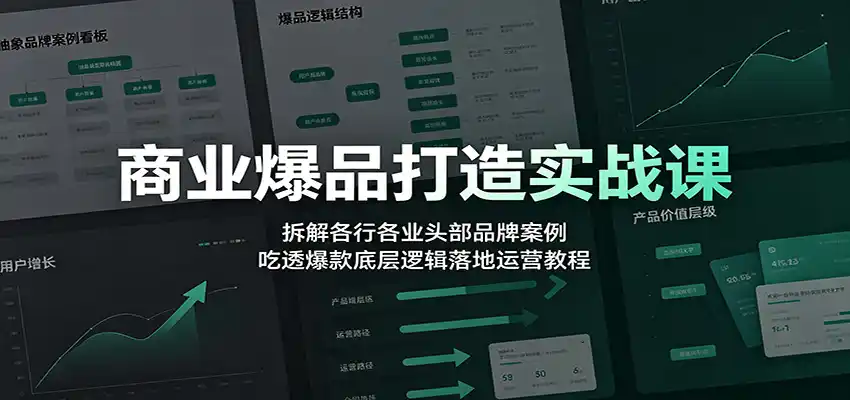 商业爆品打造实战课：拆解各行各业头部品牌案例，吃透爆款底层逻辑落地运营教程-汇课新知资源网