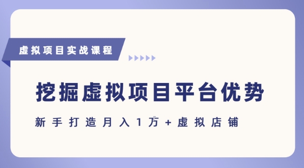 抓住虚拟项目各平台优势，新手轻松月入1W+(给出具体建议)-汇课新知资源网