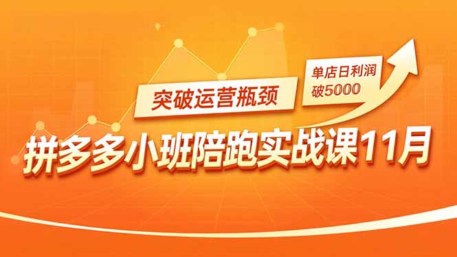 拼多多小班陪跑实战课11月,强付费矩阵、原价活动、暗券引流,突破运营瓶颈,单店日利润破5000-汇课新知资源网