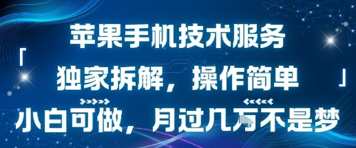 苹果手机技术服务，独家拆解，操作简单，小白可做，月过1W不是梦-汇课新知资源网