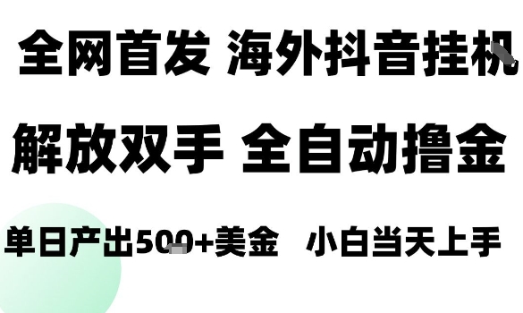 海外抖音无人直播,单日产出1.5k+,长期稳定,新手可玩,无脑操作【揭秘】-汇课新知资源网