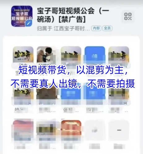 宝子哥头部团队短视频带货，以混剪为主，不需要真人出镜，不需要拍摄【更新】-汇课新知资源网