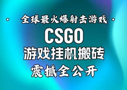 【年底大揭秘】基于全球最火爆的射击CSGO游戏挂G搬砖，日入5张+，震撼公开-汇课新知资源网