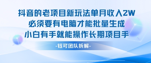 老项目新玩法单月收入2W小白有手就能操作长期项目-汇课新知资源网
