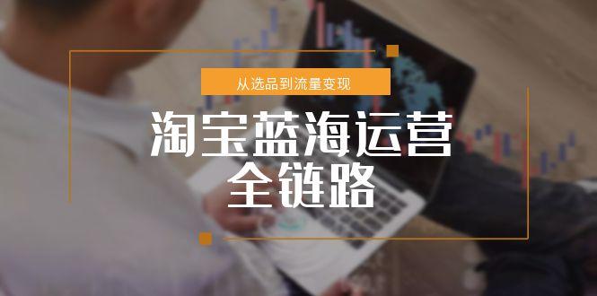淘宝蓝海运营全链路，从选品到流量变现，小类目突围完整方案-汇课新知资源网