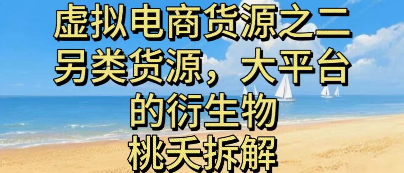虚拟电商之二—另类的货源,大平台的衍生物-汇课新知资源网