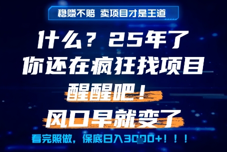 什么？25年你还在疯狂找项目做，醒醒吧，看完这些你全都懂了！【揭秘】-汇课新知资源网