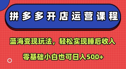 拼多多开店运营课程：蓝海变现玩法，轻松实现睡后收入，零基础小白也可日入5张-汇课新知资源网