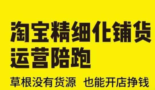 淘宝精细化铺货运营陪跑(部分更新至2025),草根没有货源 也能开店挣钱-汇课新知资源网