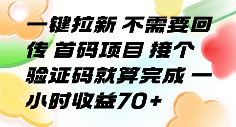 一键拉新 不需要回传 首码项目 接个验证码就算完成 一小时收益70+【揭秘】-汇课新知资源网