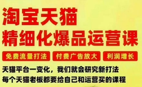 淘宝天猫精细化爆品运营课,免费流量打法-付费广告放大-利润增长-三大核心痛点,一次全部解决-汇课新知资源网