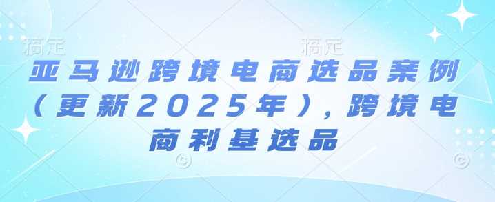 亚马逊跨境电商选品案例(更新2025年2月),跨境电商利基选品-汇课新知资源网