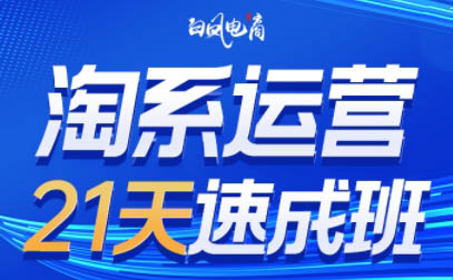 白凤电商·淘系运营21天速成班(更新9月)-汇课新知资源网