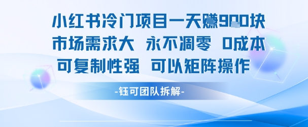 小红书冷门项目一天收益9张，市场需求大，0成本，可复制性强可以矩阵操作-汇课新知资源网