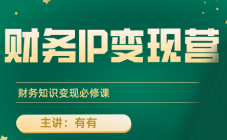 有有老师·财务IP变现营，财务知识变现必修课-汇课新知资源网